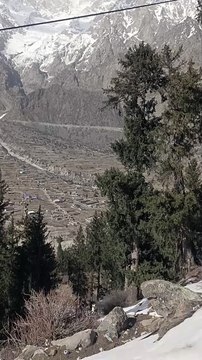 Naltar valley gilgit baltistan pakistan