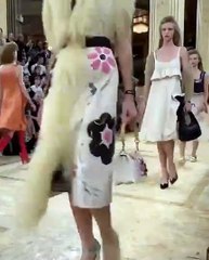 ميوتشيا برادا قدّمت كلّ ما تحبّه وفقاً لكلاسيكيات الدار بلمسات غير اعتيادية