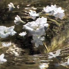 مارغوت روبي تؤمن أن الحظ الجيّد يُحالفها عند ارتداء شانيل فقط