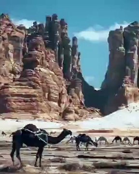 3 منتجعات فاخرة في قلب العلا تجذب السياحة العالمية إلى السعودية