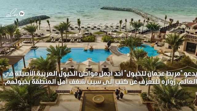 جولة على الخيول وعشاء شاعري بانتظاركم مع برنامج Marriott Bonvoy!