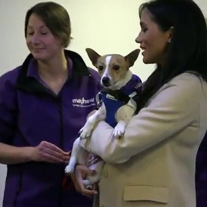 ميغان ماركل تُخطط لاصطحاب طفلها إلى أفريقيا وتُلغي زيارة أميركا