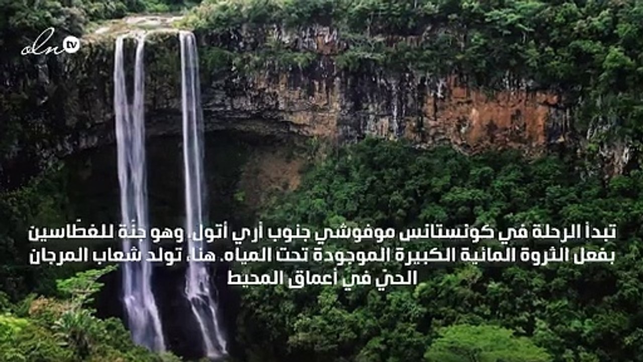 حان الوقت لكي تدللي نفسك برحلة غير مسبوقة إلى جزيرة موريشيوس!