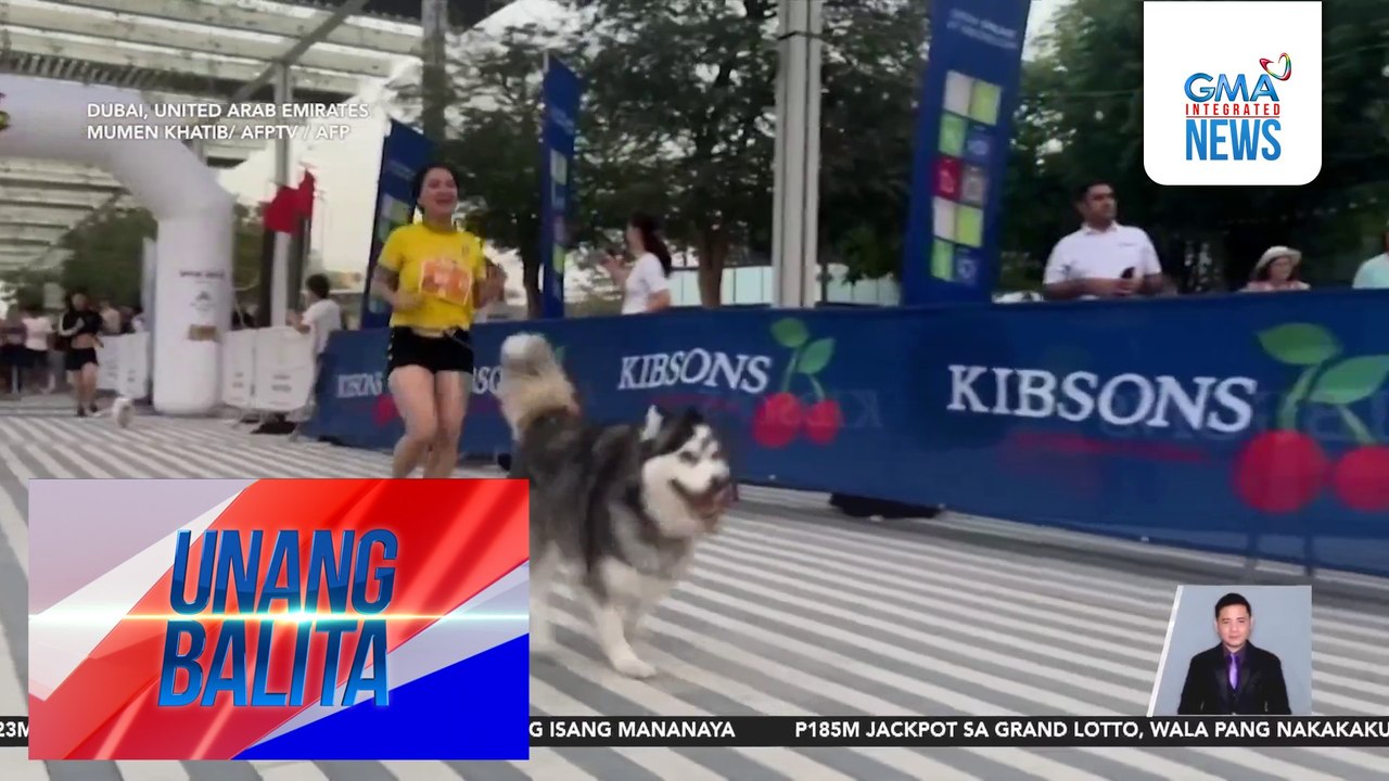 Nasa 200 aso at fur parents nila, lumahok sa obstacle race | Unang Balita