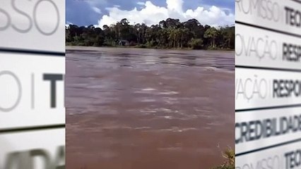 Boto-cor-de-rosa dá à luz ao seu filhote