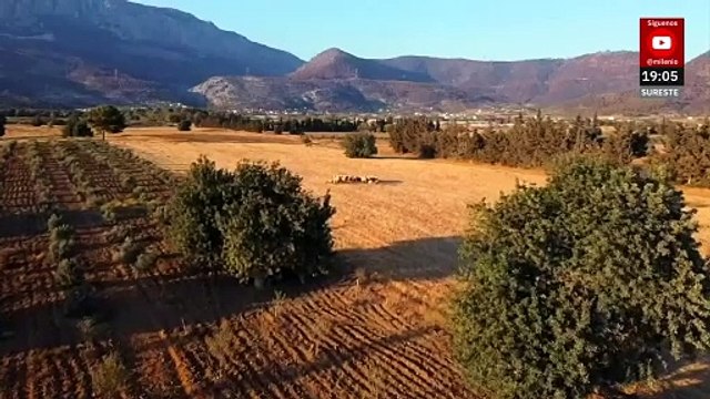 Monreal celebra programa 'Cosechando Soberanía' de Sheinbaum