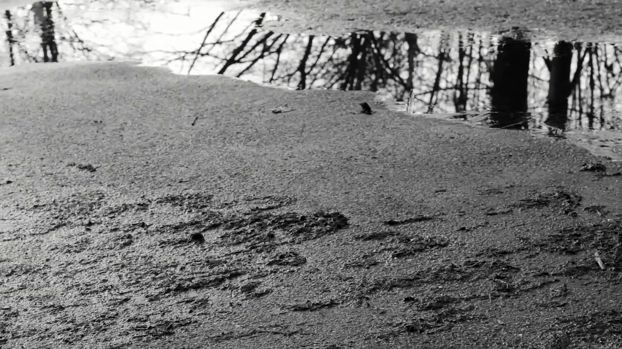 6 Jahre, 7 Monate und 16 Tage - Die Morde des NSU | movie | 2017 | Official Trailer