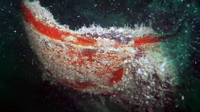 Drain the Oceans S02E01 Secrets of D-Day