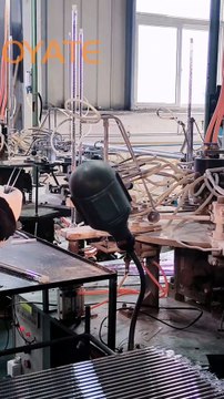 1000W 220V 560mm Carbon Fiber IR Lamps Graphene Infrared Heating Lamp