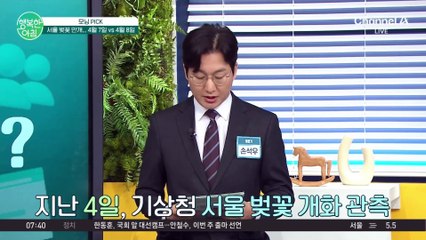 이번 주에 만개하는 벚꽃... 비 오기 전에 빠르게 나들이 준비하세요! #벚꽃