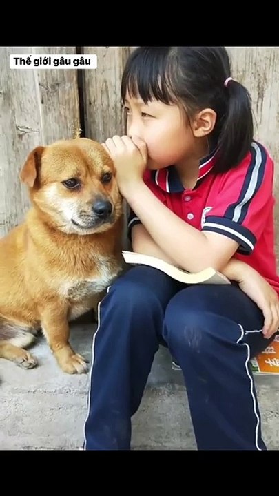 The World of Playful Pups - Episode 43