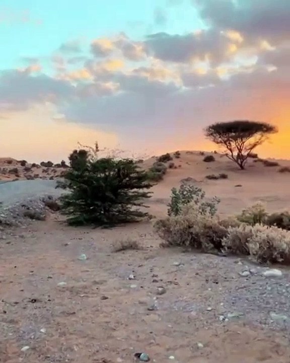 السعودية العنود بدر تشاركنا نصائحها الحصرية لتنسيق إطلالات النهار والسهرات