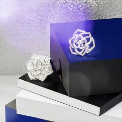 وردة بياجيه، رفيقتك الرومانسية وخيارك المثالي لإطلالة يوم الحب