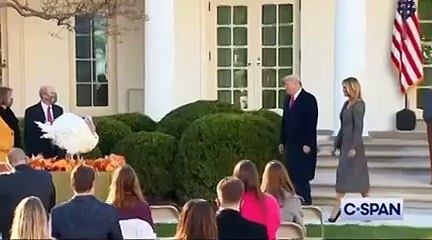 ميلانيا ترامب ارتدت المعطف المثالي للوك موسم الأعياد