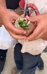 فلسطین کے مسلمان گھاس کھا رہے ہیں