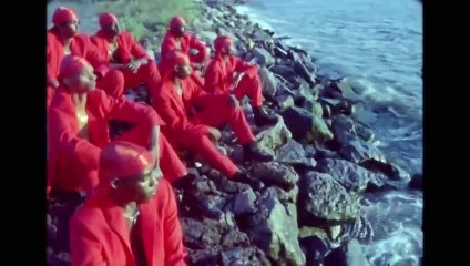 "الأسود هو الملك" ألبوم مرئي جديد من بيونسيه، الصدفة تجعله أقوى