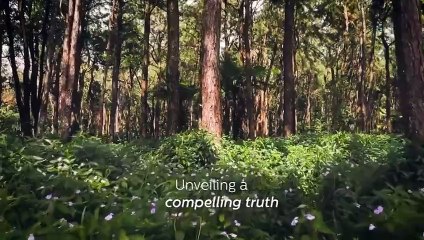 أدخلي أجواء السيشل إلى منزلك مع وصفة الروبيان المحمّر والبرتقال