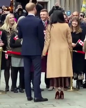 عنوان كتاب ميغان وهاري يحمل هجوماً صريحاً على العائلة المالكة