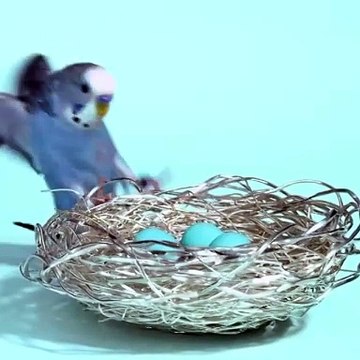 في ثاني تعاون بينهما، ياسمين المُلا تستوحي تصاميم رمضان من مجوهرات Tiffany T1