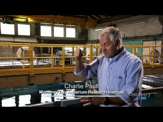 Discovery Drain the Ocean