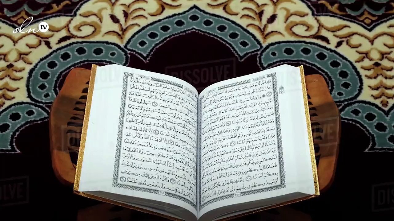 بحث عن سورة الحجرات