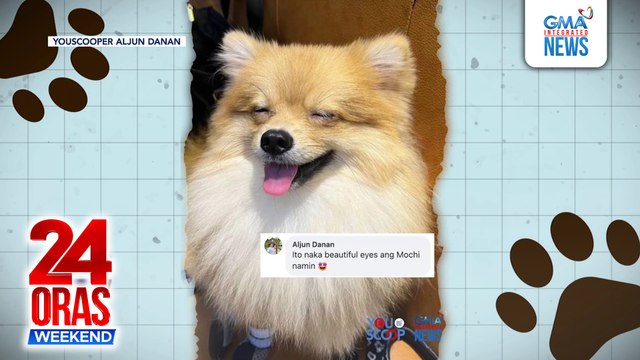 Pag-aalaga ng pets, mas pinipili ng ilang Pinoy, ayon sa isang pag-aaral | 24 Oras Weekend