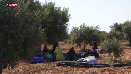 Immigration : la Tunisie démantèle des camps de fortune