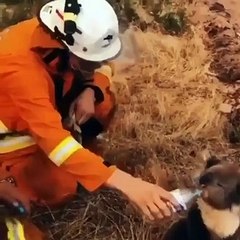 انتقادات قاسية لكايلي جينر تُجبرها على التبرّع بمليون دولار
