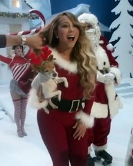 النجمات يُحافظن على الدفء والأناقة خلال عُطلات التزلج