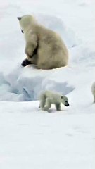 حيدر أكرمان يبدأ رحلته الإبداعية الجديدة مع أزياء Canada Goose بدعم من جين فوندا