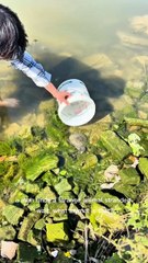 foreign man put his hand into the mud and look what happened