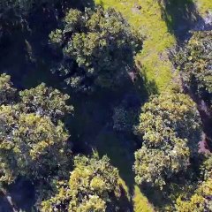 انعشي صيفك مع خلاصة الحمضيات في عطر Arancia La Spugnatura الجديد