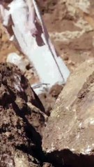 هالة قسطون  لـgheir: علامتي تدعم النساء وتشجعهن على السعي لتحقيق أحلامهن