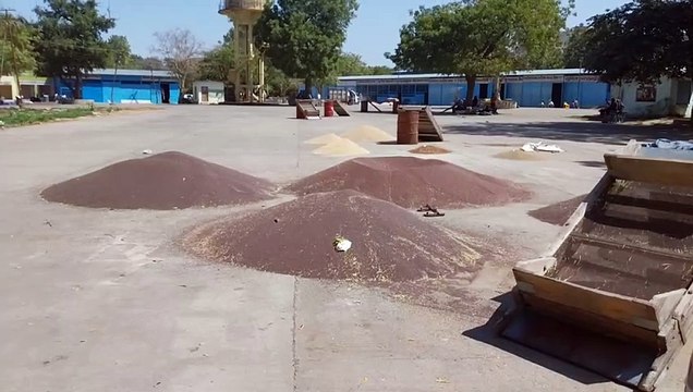 swm news...गिरदावरी में गड़बड़ी की मार झेल रहे धरतीपुत्र