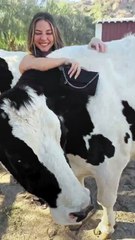 مجموعة ستيلا مكارتني الأكثر استدامةً باتت في متناولك