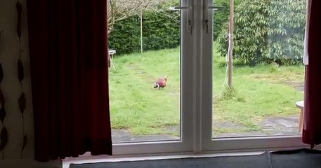 House of Dead Full Horror Movie