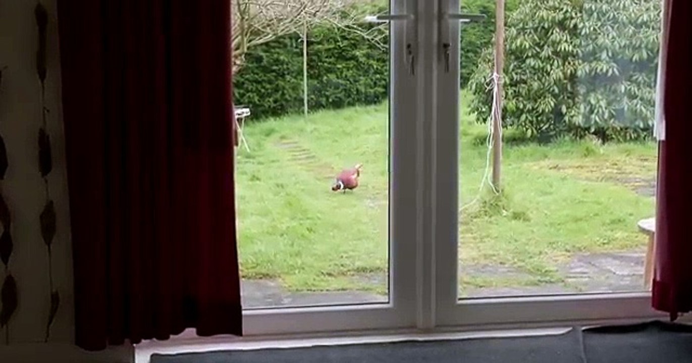 House of Dead Full Horror Movie