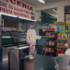 احتفلي بأجمل لحظات اللقاء المفاجئة بطريقة لاكوست و Venus William