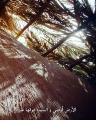 شوميه تحتفي باليوم الوطني السعودي مع الشاعرة معتزة