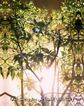 شوميه تختار الإماراتي أحمد العريف لتسليط الضوء على أهمية الطبيعة