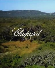 شوبارد تكشف عن أكبر حجر زمرد خام