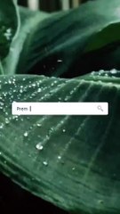 أربع خطوات لتعيدي النضارة إلى بشرتك باستعمال مفهوم الجمال النظيف