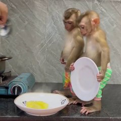 my gooodness, Donut out of patiently to wait for potatos well cooke #DIGITAL MASTER MIND