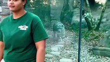 Saleemoffical presentation - hide an seek game #funny