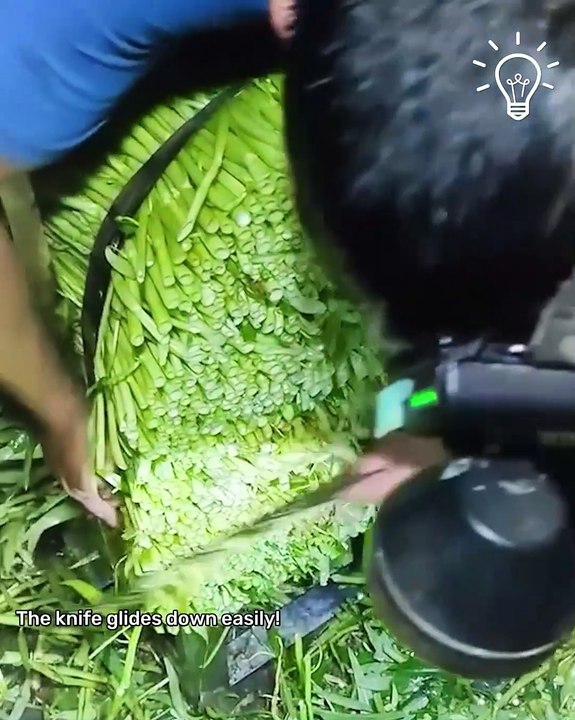 Satisfying ASMR: Vegetable Edition!