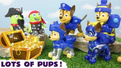 Lots of Toy Paw Patrol Pups help in these Rescues