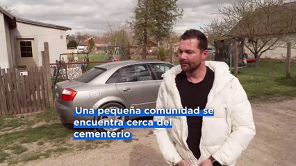 Nuevas imágenes del líquido que brota del ganado con fiebre aftosa enterrado en Hungría