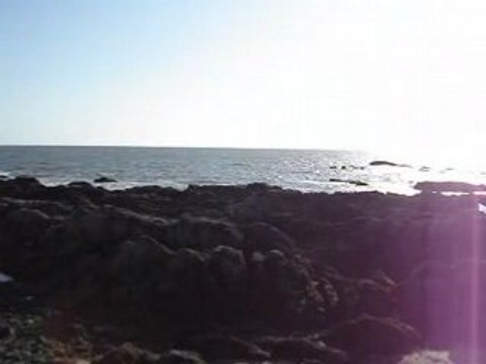 Cédric-labaule-croisic