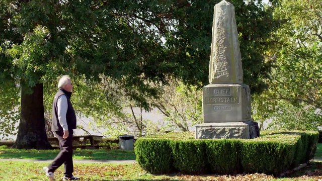 Alla ricerca dell'uomo falena