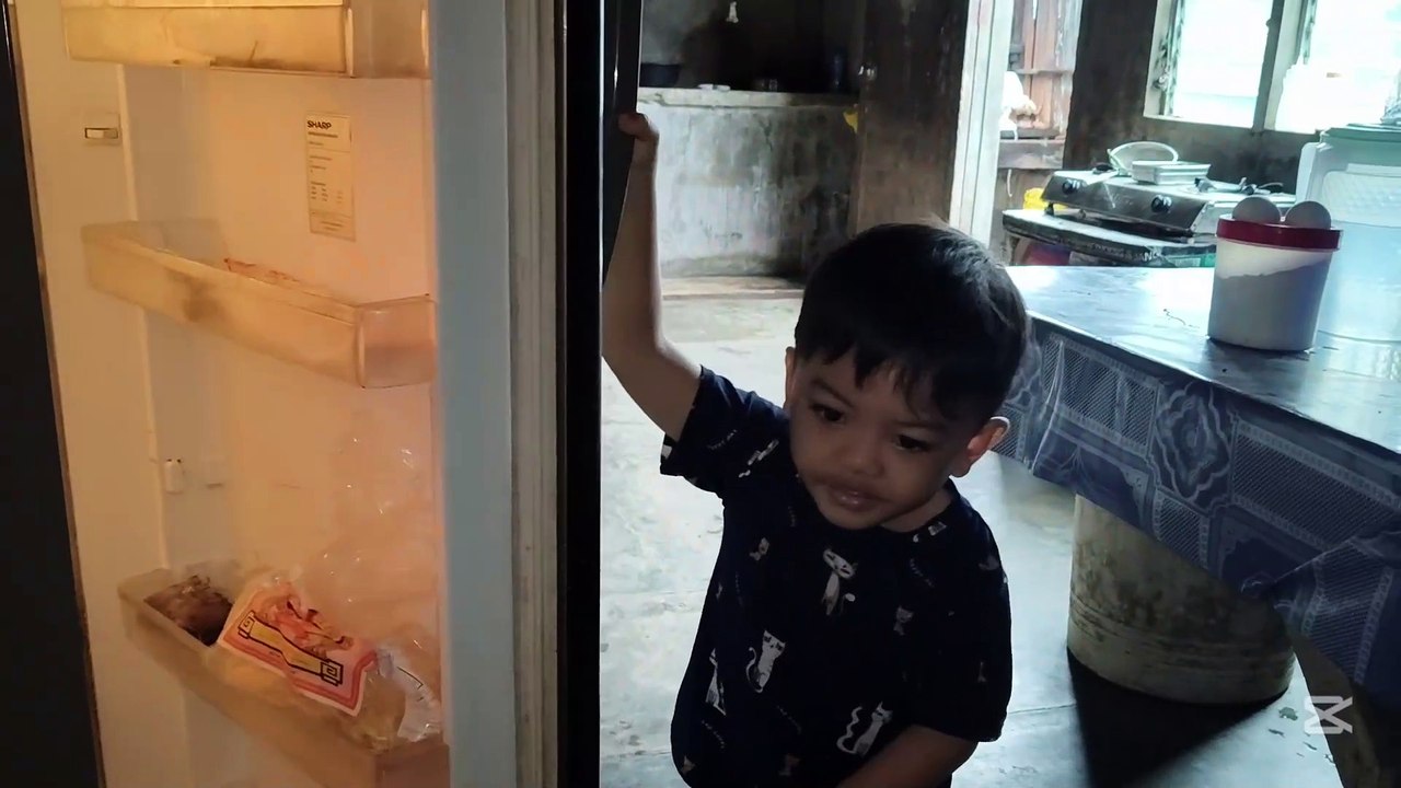 Si Grey Nagdula Pag-Usab sa Refrigerator!
